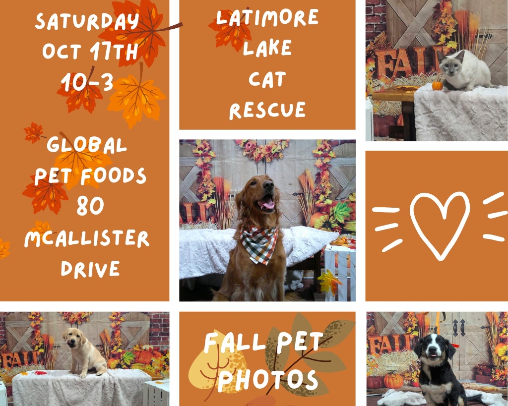 Fall Pet Photos Fundraiser at Global Pet Foods - Latimore Lake Cat Rescue