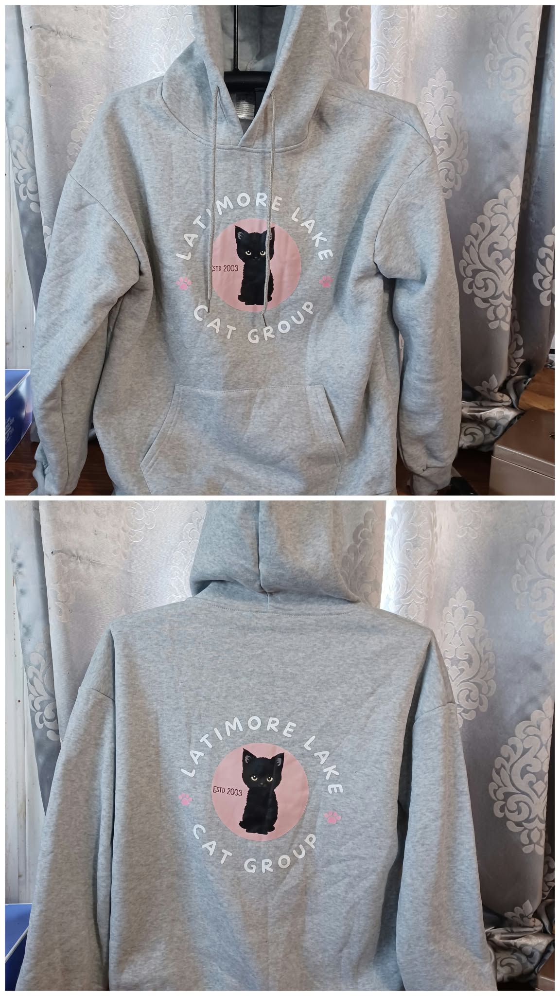 Heather Grey Pullover Hoodie with Latimore Lake Cat Group Logo