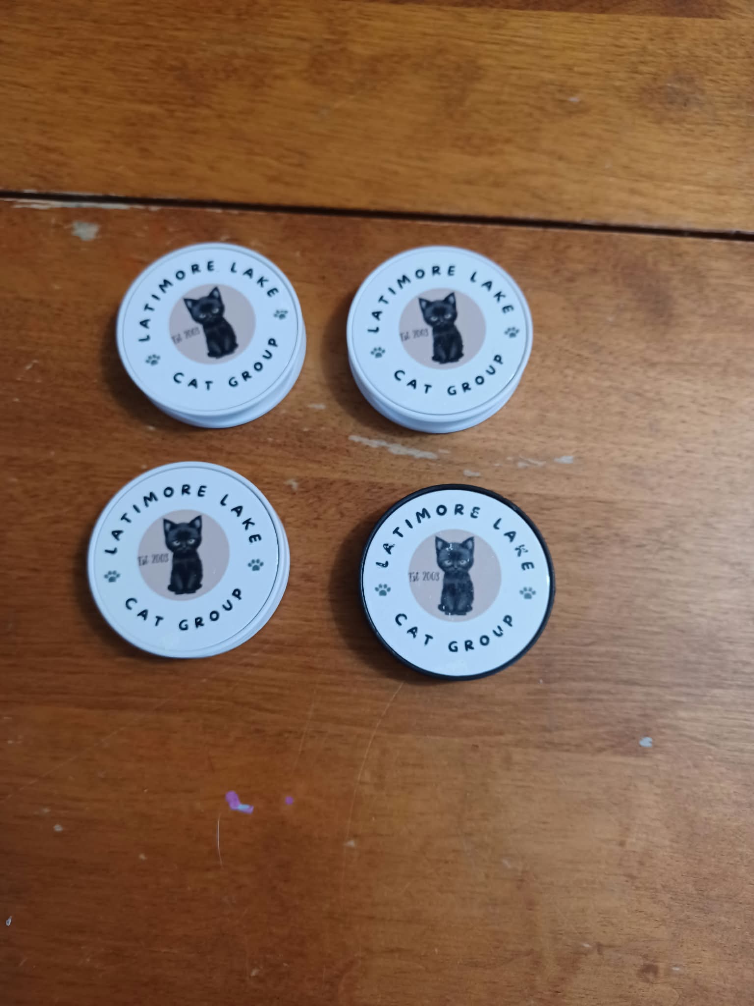 Latimore Lake Cat Group Pop-Out Phone Grips